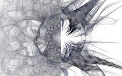 2014 12 15 Shadow Play 049-white.jpg